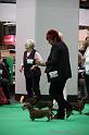 Crufts2011_2 1480